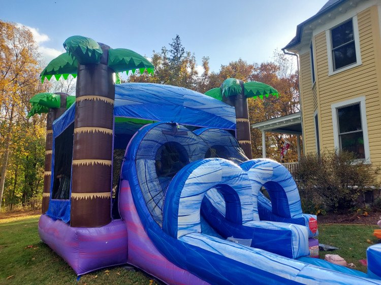 Palm Tree Bounce House